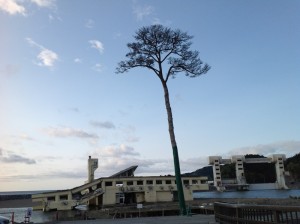 岡山　片山 064